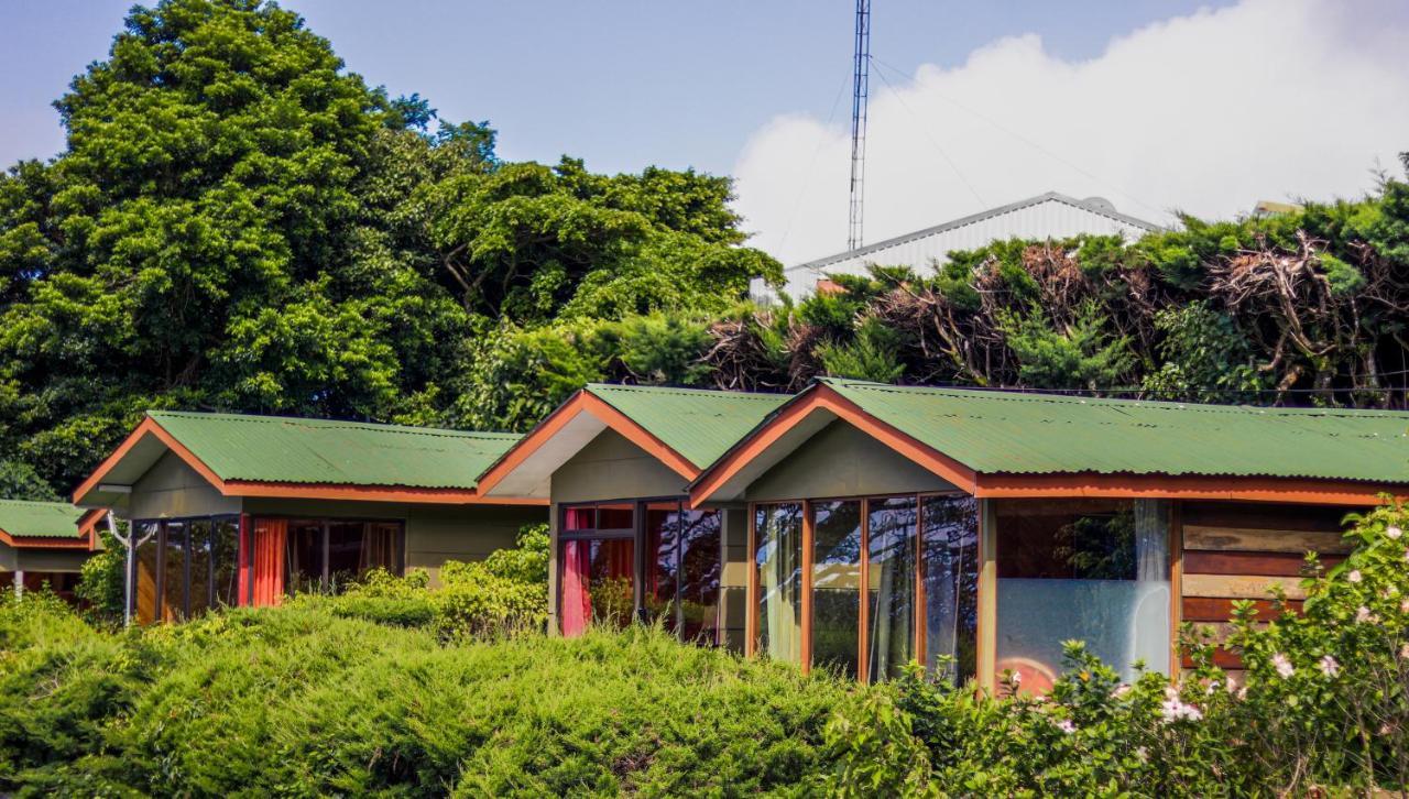 Hotel Don Taco Monteverde Εξωτερικό φωτογραφία